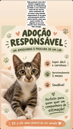 ADOCAO GATO