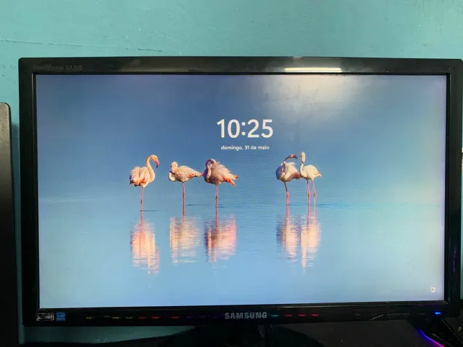 PC completo, Ryzen 5 4600g + tela Samsung