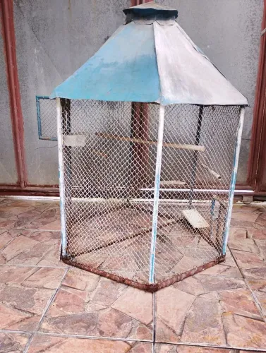 Viveiro para calopsita papagaio grande 