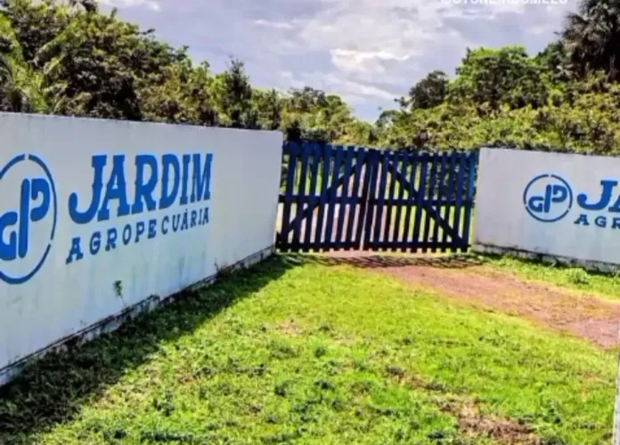 Vendemos uma fazenda pronta em Pinheiro-MA com 1.339 hectares-R$:5.000, p/Hectare.