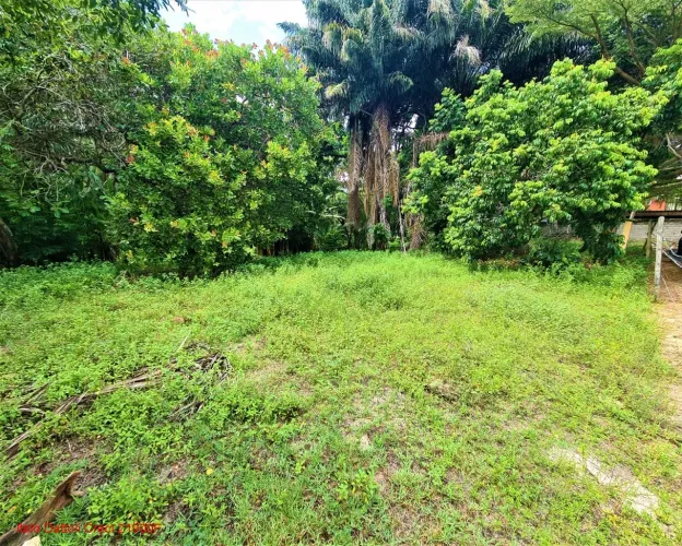 Excelente terreno plano, 2.955,54m², terreno amplo, nascente, Busca Vida, Camaçari, BA.