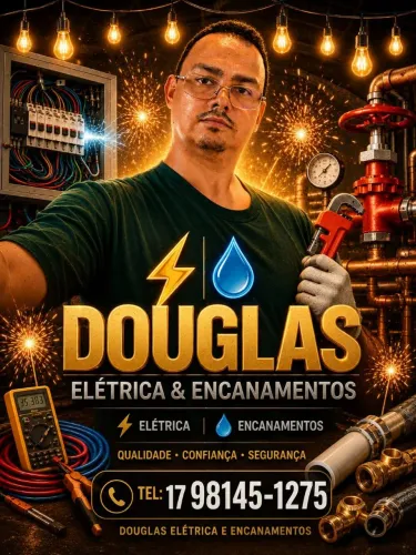 Eletricista e Encanador, Profissional Especializado.