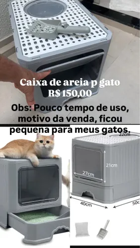 Caixa de Areia para Gato