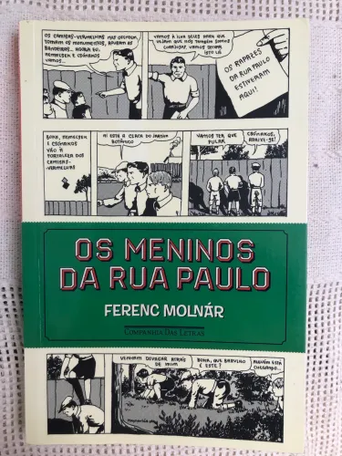 Livro OS MENINOS DA RUA PAULO