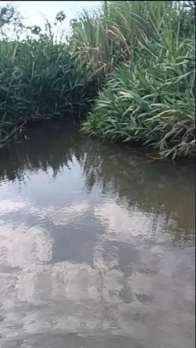 Vendo Terreno no Tibiriçá São Miguel dos Campos 