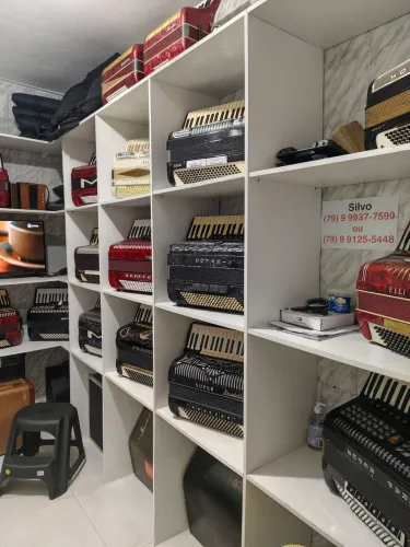 Silvio acordeon avendas