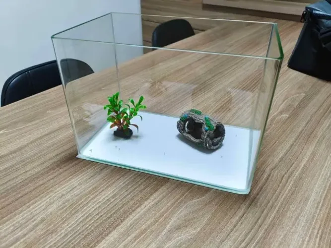 Aquário para peixe beta