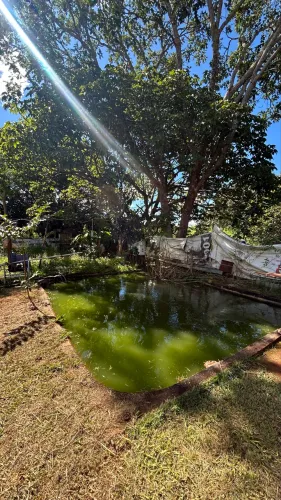 Chácara 3.200m² com 2 casas - Escritura - Entre Rios | Padre Bernardo GO