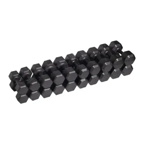 Halter Sextavado Pintado - 1 a 10kg