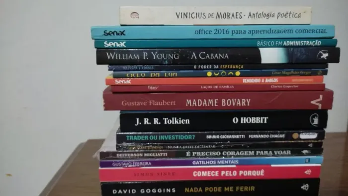 Lote de Livros Temas Variados