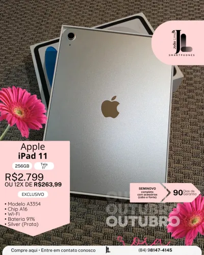 IPAD 11, 256GB, TELA 11 POL., PRATA, BAT 91%, SEMINOVO , EXCLUSIVO!