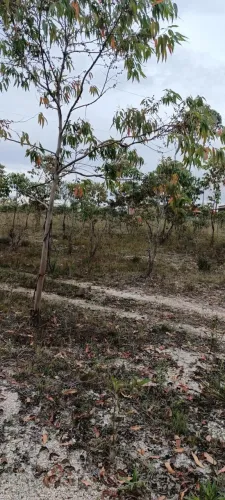 Terreno localizado na Sopa, distrito de Diamantina-MG