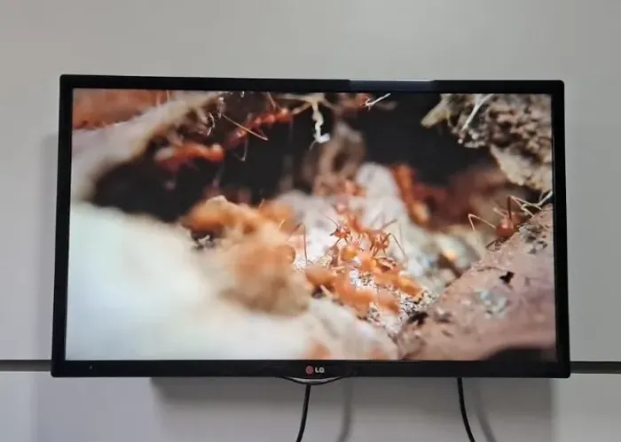 TV LG Smart 32" HD - Funcionando Perfeitamente - R$ 500