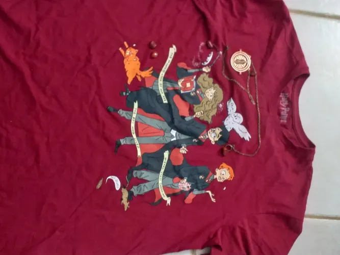 Camiseta Harry Potter Piticas