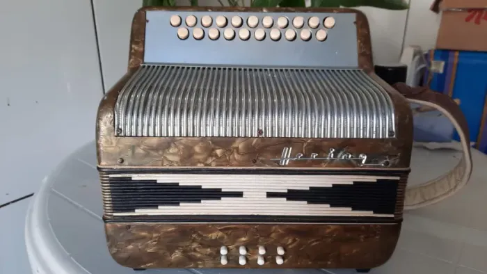 acordeon sanfona hering 8 baixos raridade unica a venda