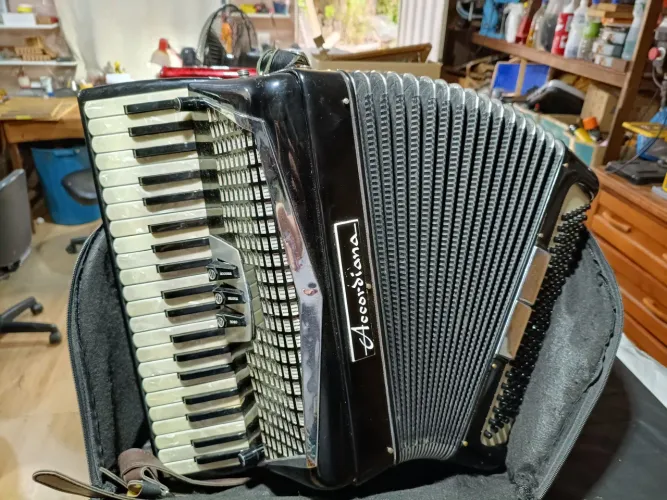 Acordeon Accordiana 120 baixos