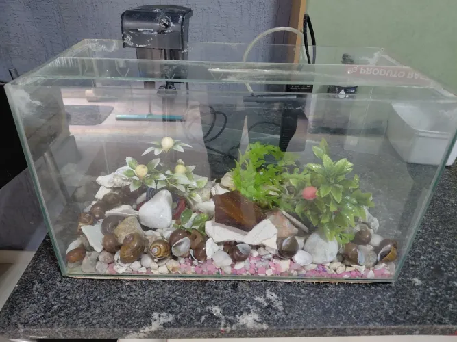 Aquário para peixes 