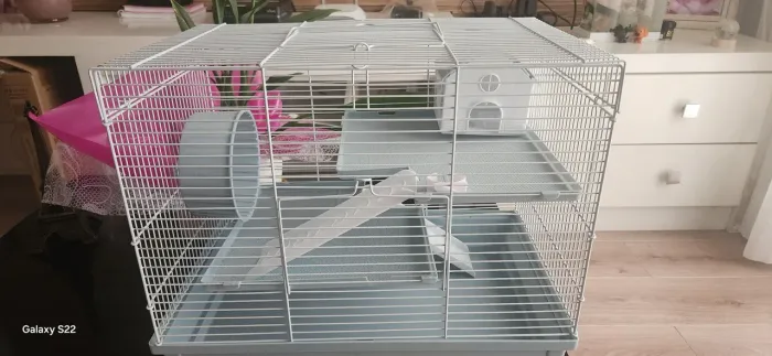 Casinha Hamster 
