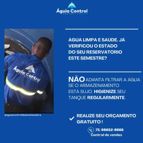 Dedetização