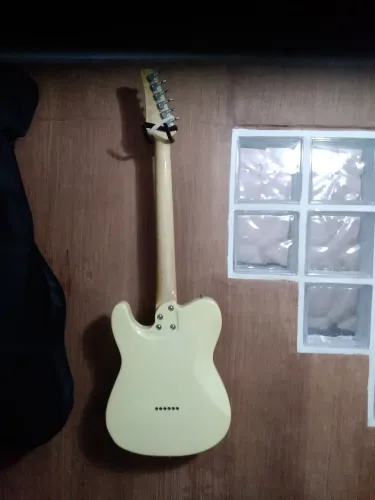 Tagima telecaster seize