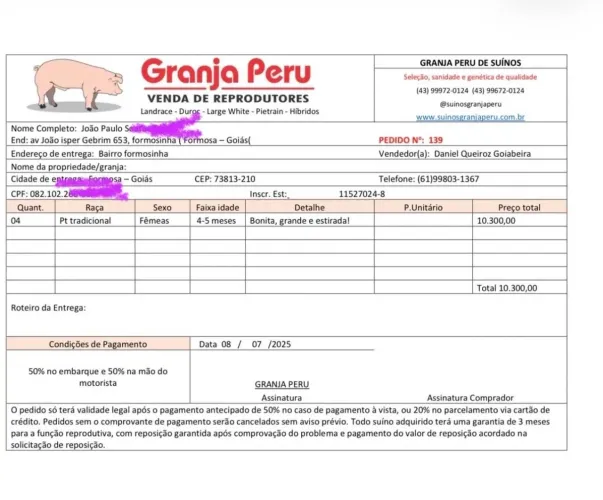 Venda de porcos da raça Pietrain