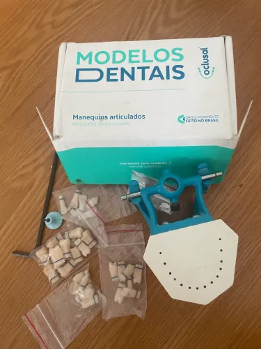 Manequim articulado P oclusal