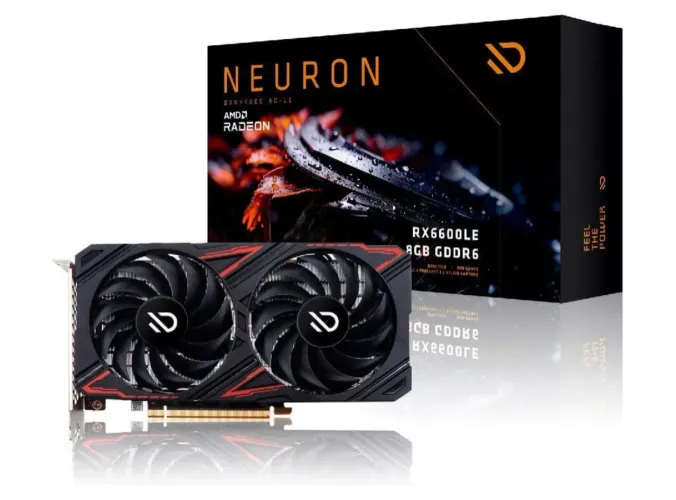 RX6600 LE