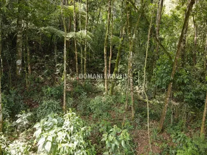Terreno à Venda na Região de Capivari - Campos do Jordão/SP
