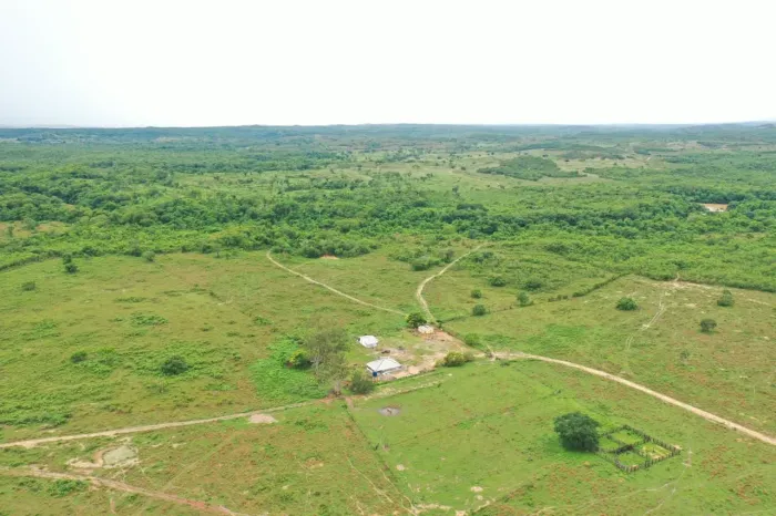 Fazenda 2.330 hect em Rosário do oeste MT. 1.200hect em pasto. 18 milhões.