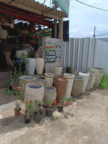 Vasos de Planta