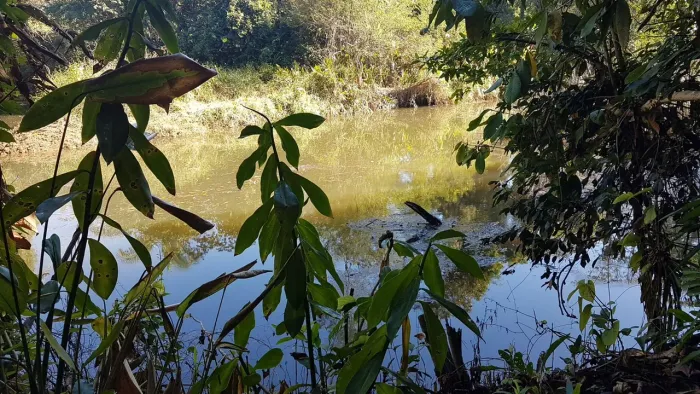 Terreno para formar Chácara