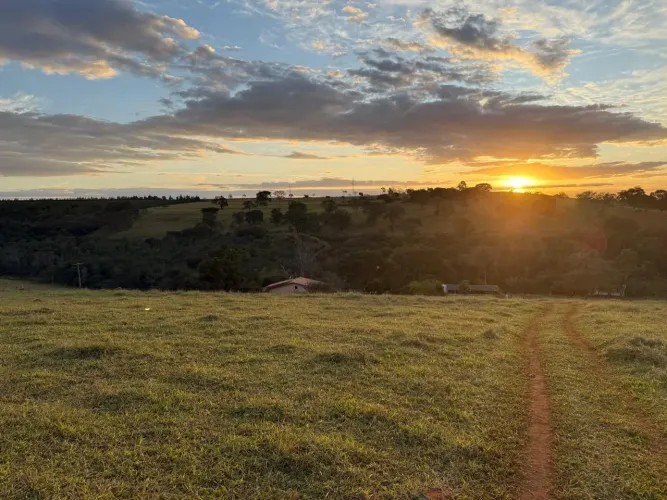 FAZENDA ELITE 184HEC EM PATOS DE MINAS | 1KM DO ASFALTO | MUITA ÁGUA