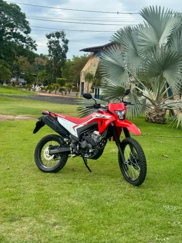 XR 300L Tornado 2026