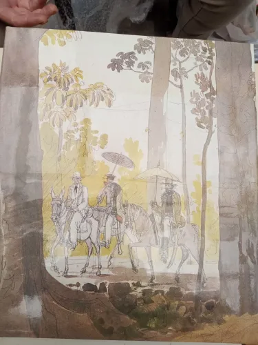 O Brasil de Thomas Ender1817.