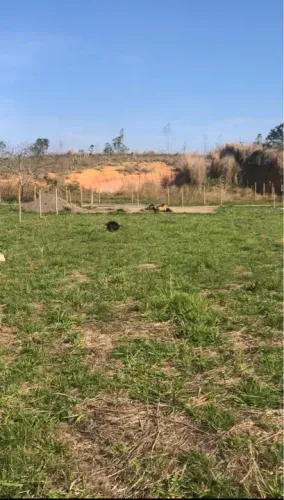 Terreno condomínio fechado 1000m2 em Vargem alegre