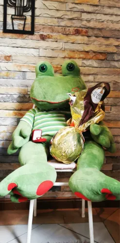 Sapo de Pelúcia Gigante 