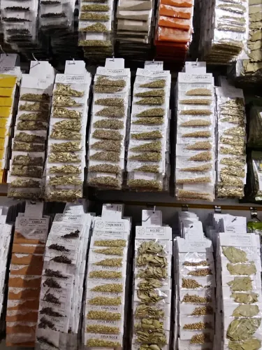 Ervas e temperos