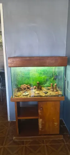 AQUÁRIO PARA PEIXES