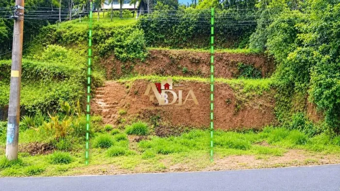 Terreno à venda, 250 m² por R$ 110.000,01 - Ponte Seca - Ribeirão Pires/SP