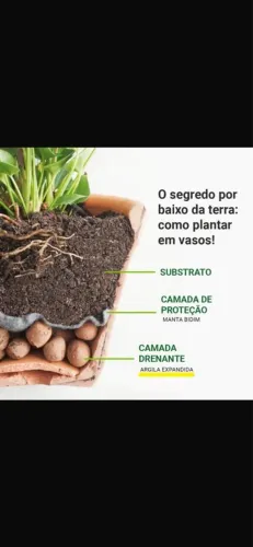 Argila expandida 