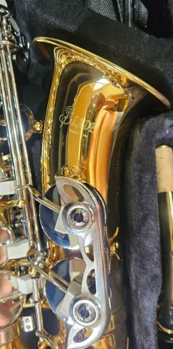 Saxofone alto Slade dourado com chaves prateadas NOVO