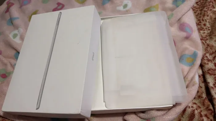 iPad 6