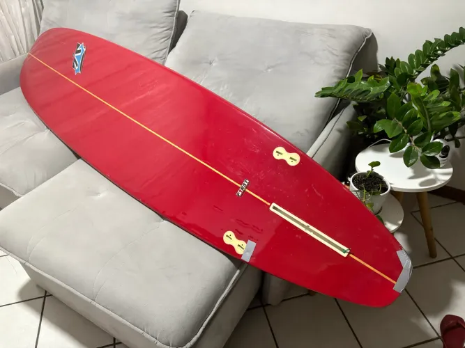 Prancha de Surf Long Board 8,6?