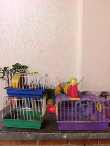 Gaiola de hamster