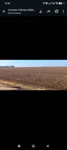 Fazenda de arrendamento Soja 1.800 hec em Guaraí TO.