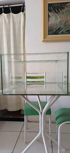 Terrário para Suculentas