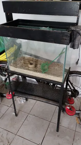 VENDO aquário+ base +bomba + tampo para lâmpada.
