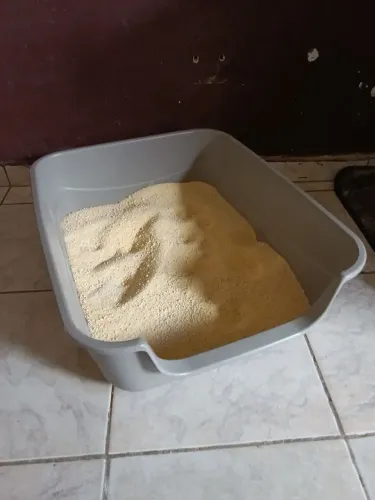 Caixa de areia 