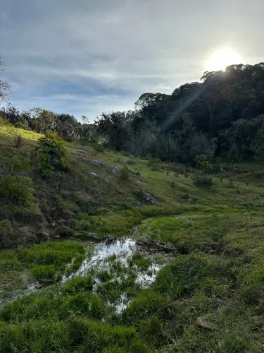 Oportunidade! Terreno com 2 Hectares em Alto Rio do Sul - Anitápolis