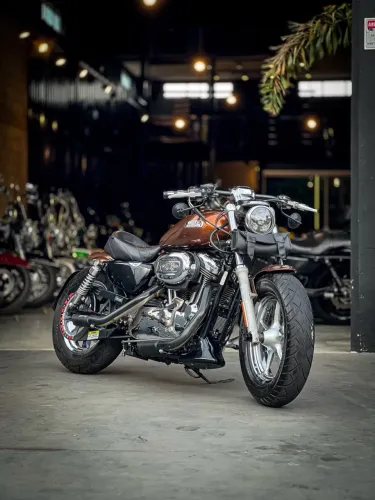 HARLEY-DAVIDSON XL1200 CUSTOM 2012
